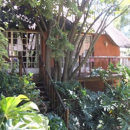 Treetops & Treats Guest House Pretoria-Noord Exteriér fotografie