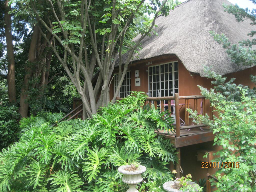 Treetops & Treats Guest House Pretoria-Noord Exteriér fotografie