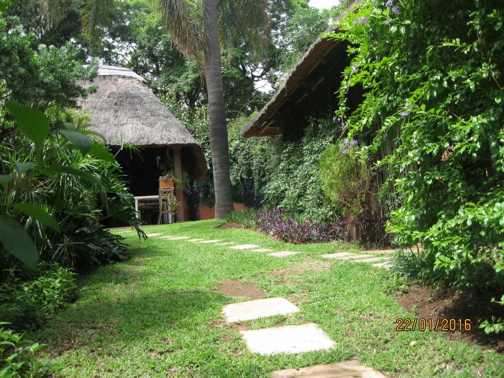 Treetops & Treats Guest House Pretoria-Noord Exteriér fotografie