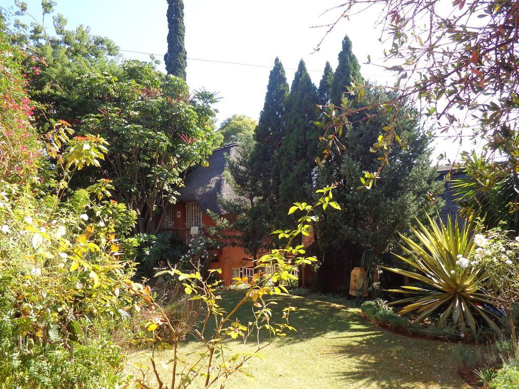 Treetops & Treats Guest House Pretoria-Noord Exteriér fotografie