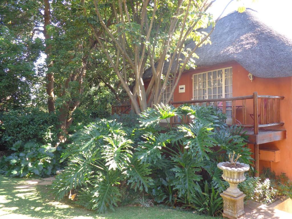 Treetops & Treats Guest House Pretoria-Noord Exteriér fotografie